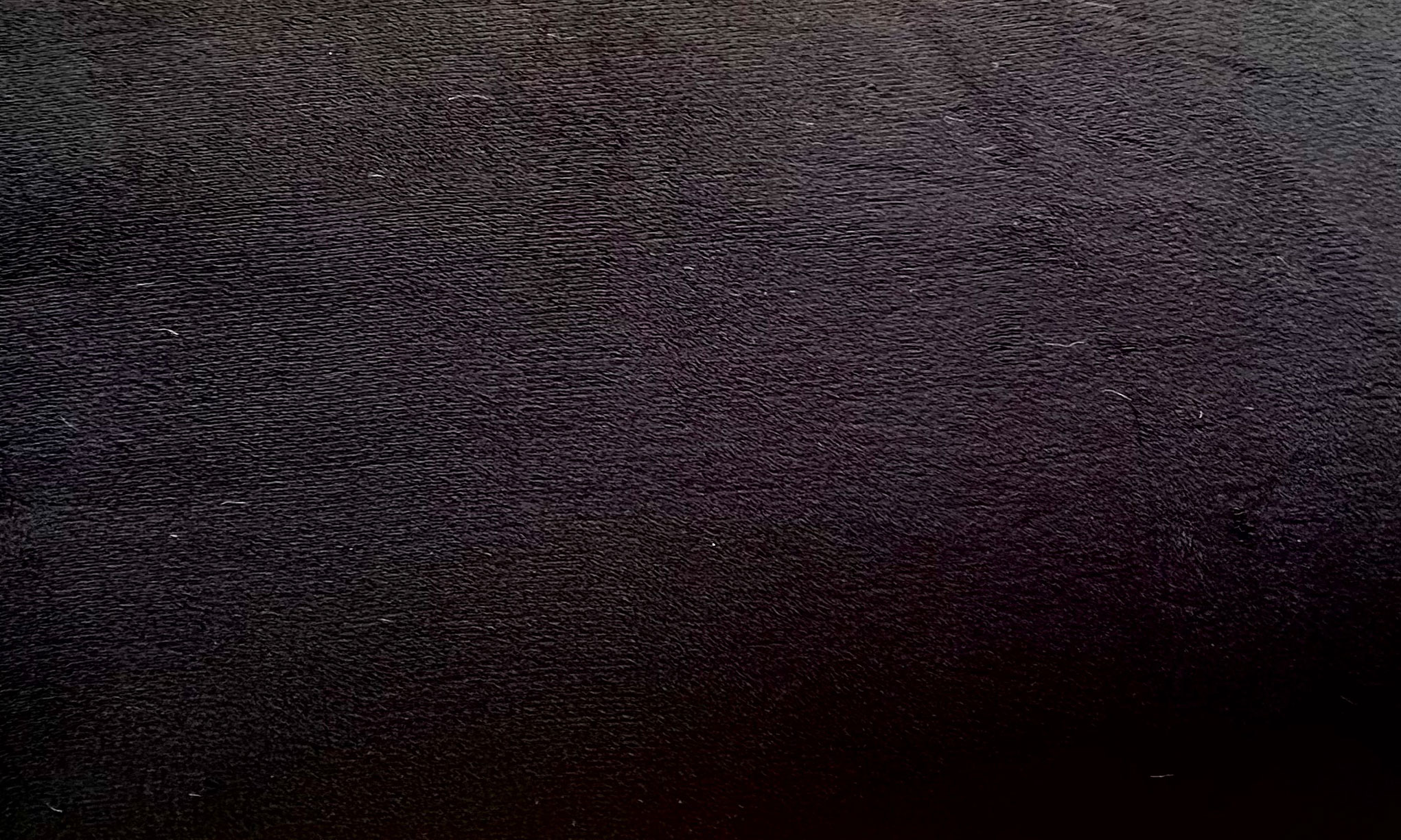 CUDDLE-Black-SHANNON-FABRICS-