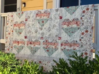 Erika’s Hearts Full of Flowers quilt is as sweet as it sounds! 

Filled with heart blocks and beautiful floral fabrics, it’s full of charm and love. She chose the Chantilly Lace quilting design—so delicate and perfect!
🏔️🏔️🏔️
#sewcoloradoquiltingchantillylace 
🏔️🏔️🏔️

#HeartsFullOfFlowers #HeartQuilt #FloralFabric #QuiltingWithLove #ChantillyLaceQuilting #BeginnerQuilter #QuiltInspo #ModernQuilter #QuiltFinish #PrettyInPink #HandmadeQuilt #SewMuchLove #QuiltTopComplete #FlowerPowerFabric #QuiltersOfInstagram